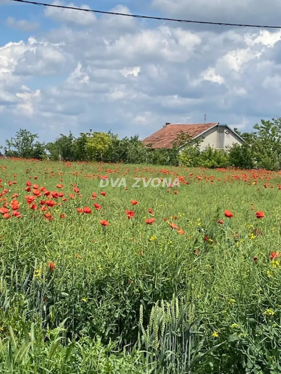 Novi Sad Čenej  uknjizeni kuće 360000 evra 