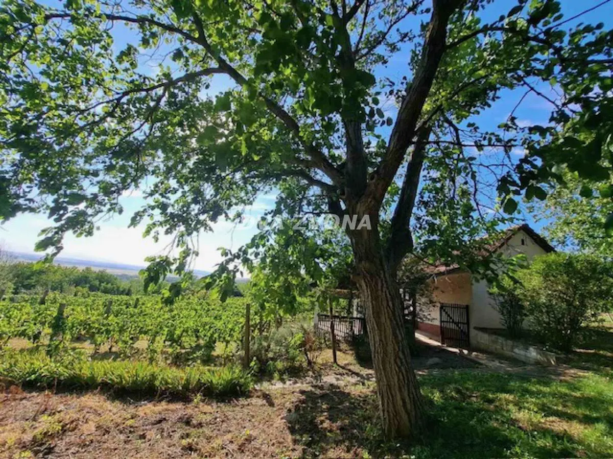 Inđija Okolina vikendica 31500 evra 