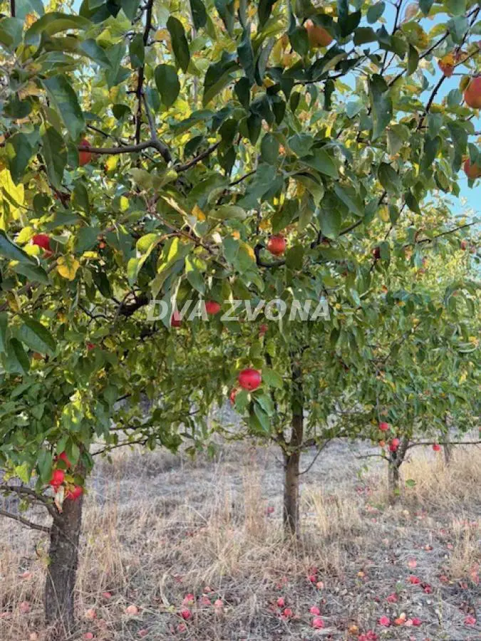 Inđija Okolina  uknjizeni plac 34500 evra 