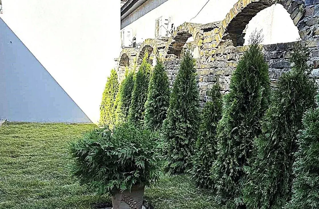 kuće Beograd Cara Dušana  uknjizeni 