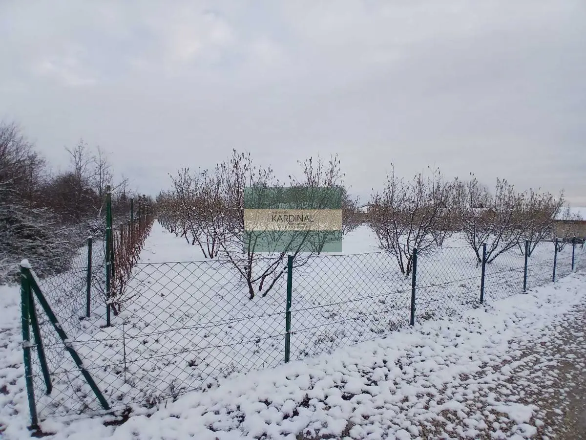 plac Kragujevac  uknjizeni 