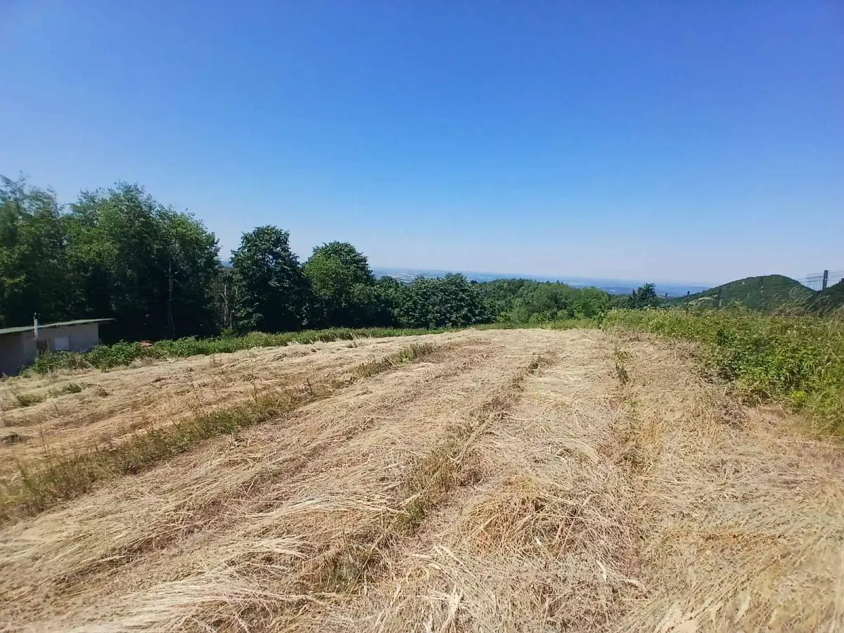 Jagodina Crni vrh  uknjizeni plac 22500 evra 