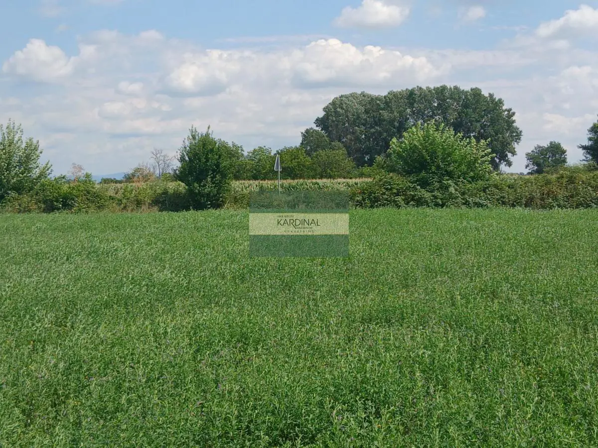 Jagodina Okolina plac 65000 evra 