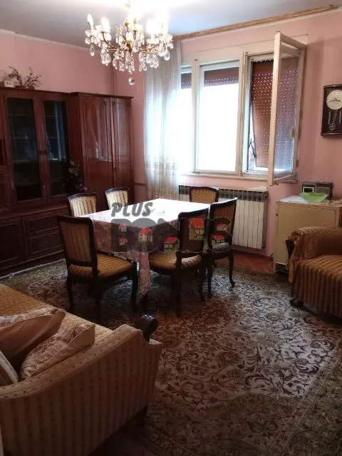  uknjizeni kuće Zemun Zemun novi grad 230000 evra 