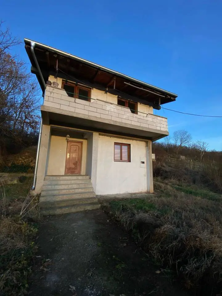 Beograd okolina Mladenovac  uknjizeni kuće 53000 evra 