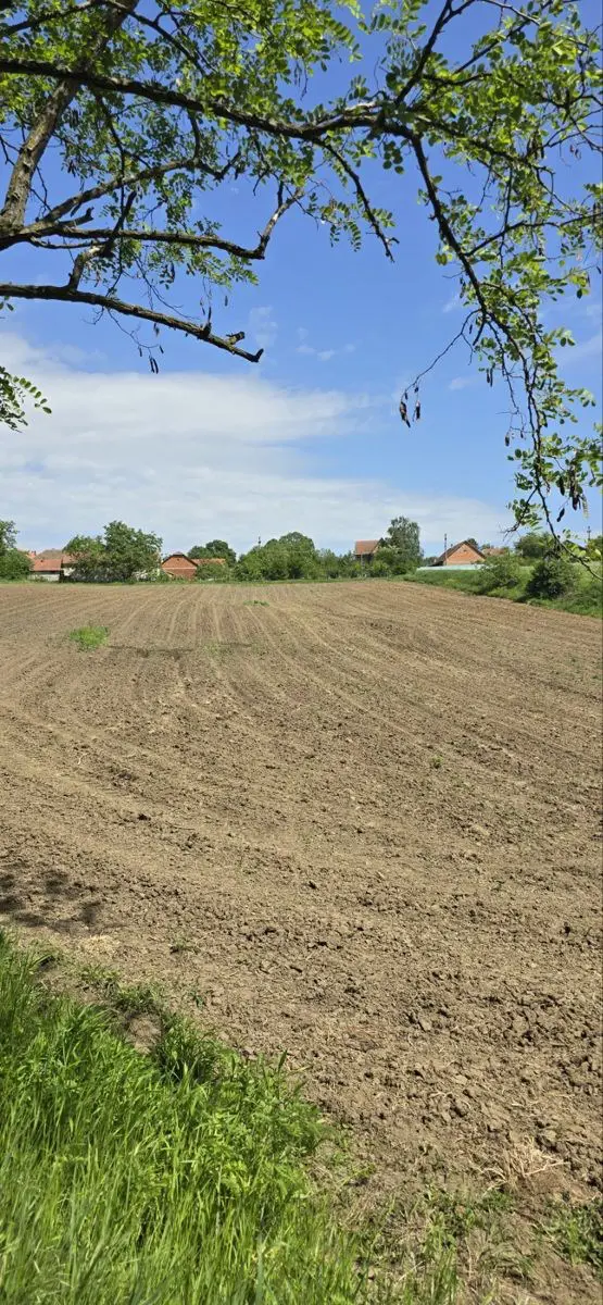 plac Beograd Lisović Dr. Saše Božovića  uknjizeni 