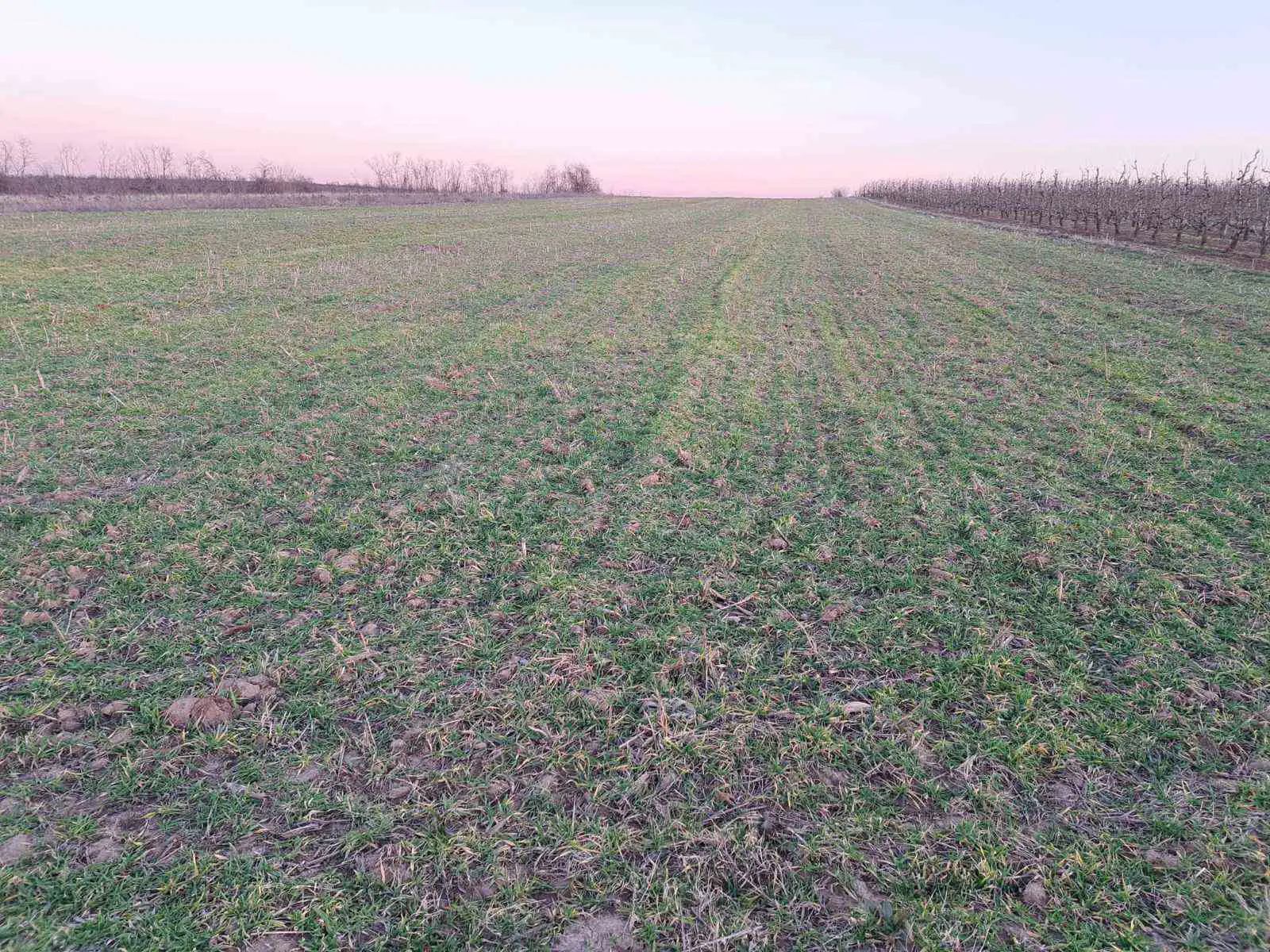 plac Beograd Kamendol  uknjizeni 