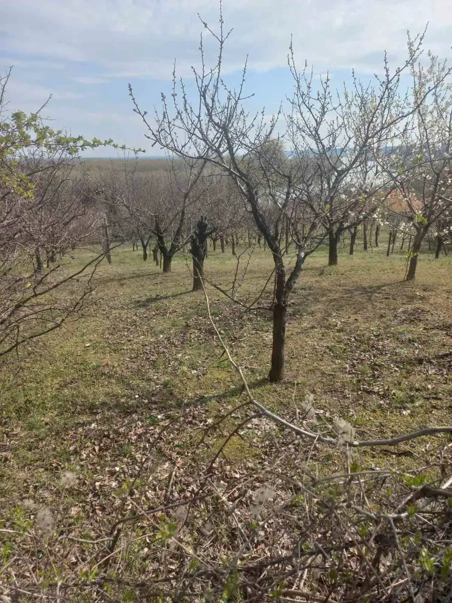 Beograd Grocka  uknjizeni plac 35000 evra 