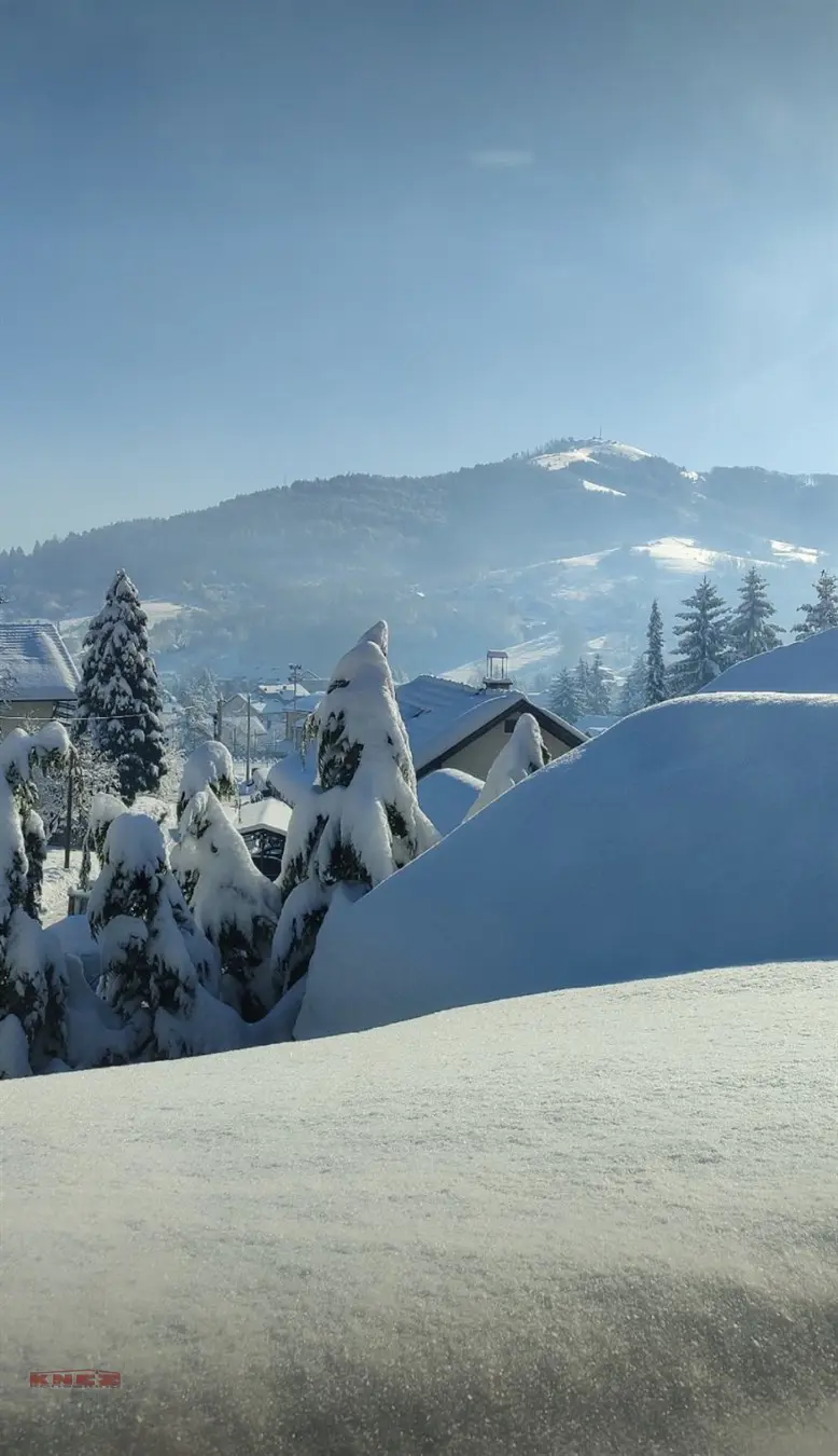 Zlatibor Zlatibor  uknjizeni kuće 299900 evra 