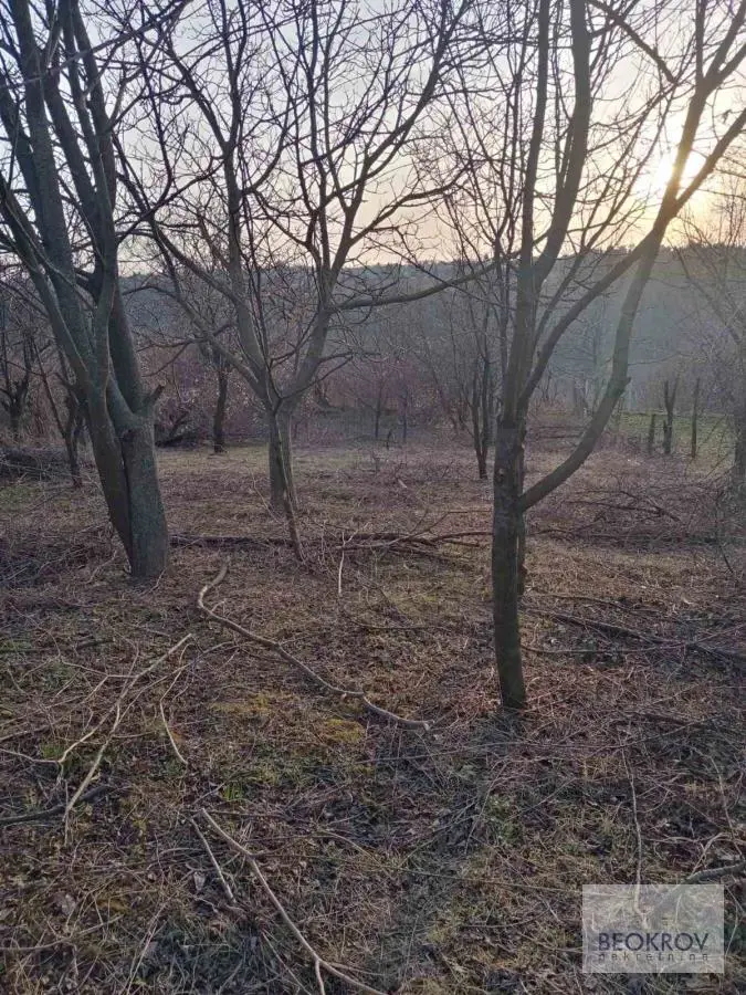 plac Beograd Na putu ka Kovioni Anastasije Nake Spasić  uknjizeni 