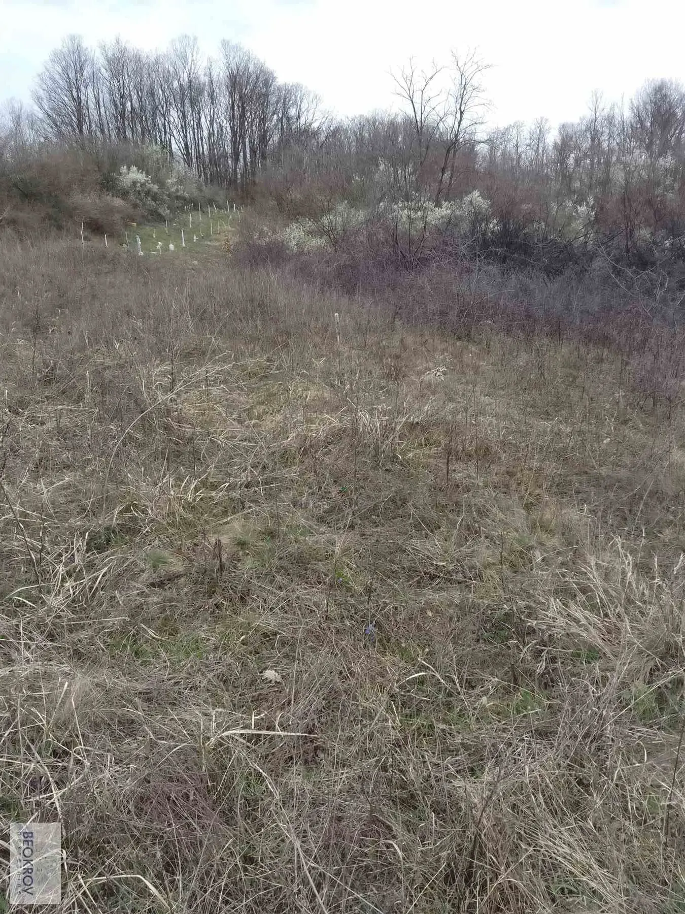 plac Beograd Put za Žuti breg  uknjizeni 