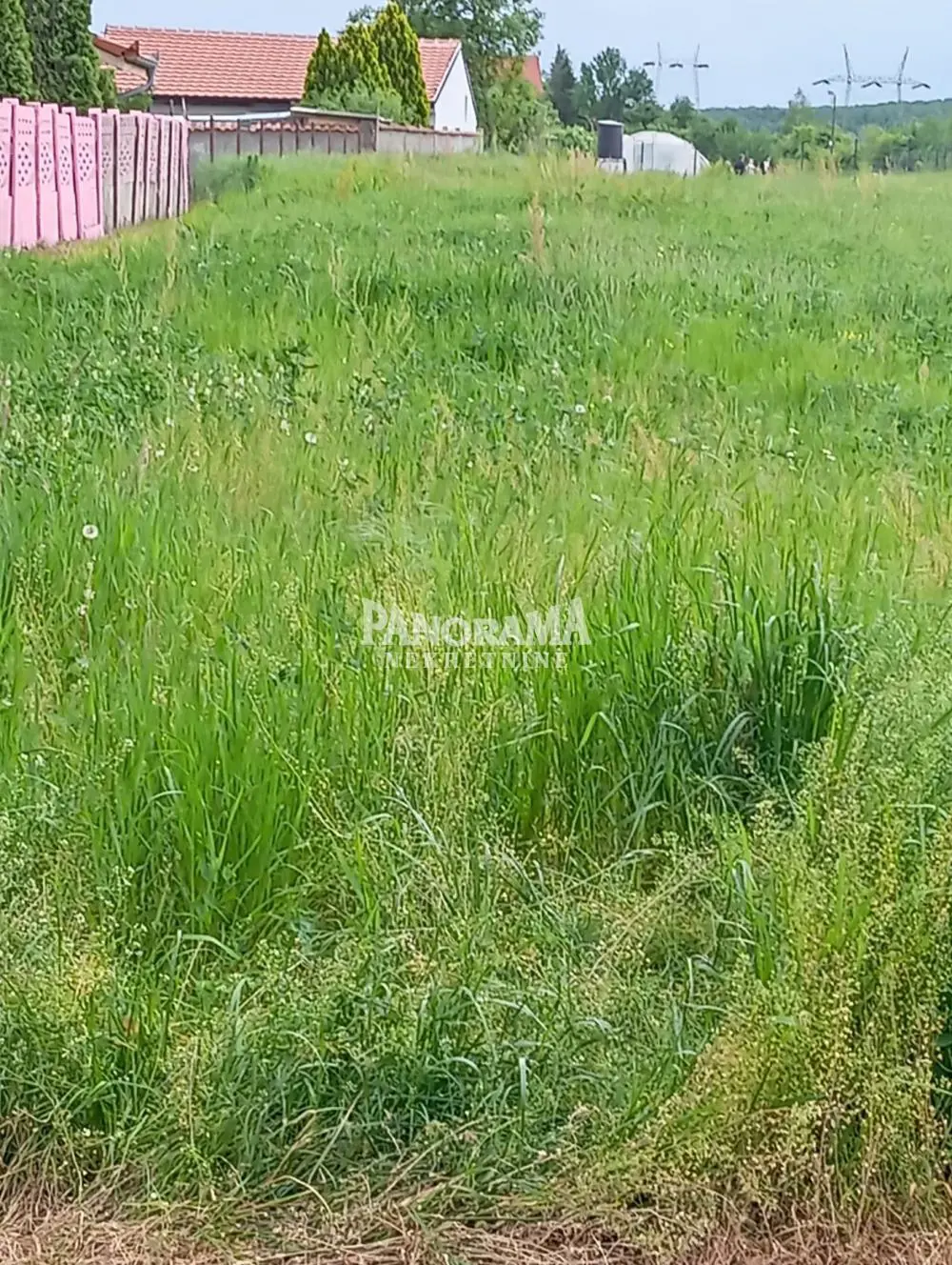plac Barajevo Stara Lipovica 63000 evra 