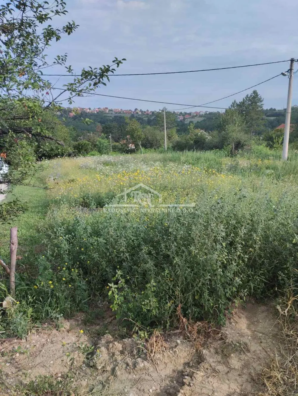 njiva Barajevo Barajevo okolina 14000 evra 