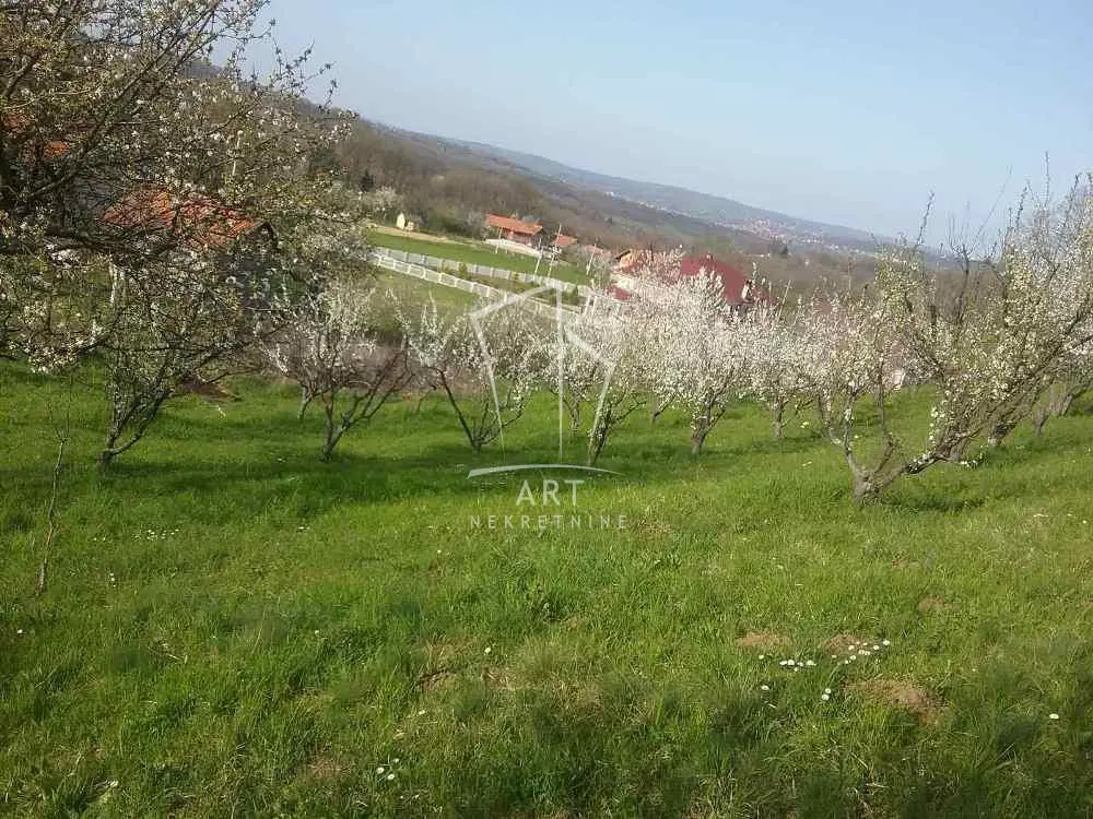 plac Voždovac Ripanj 85000 evra 