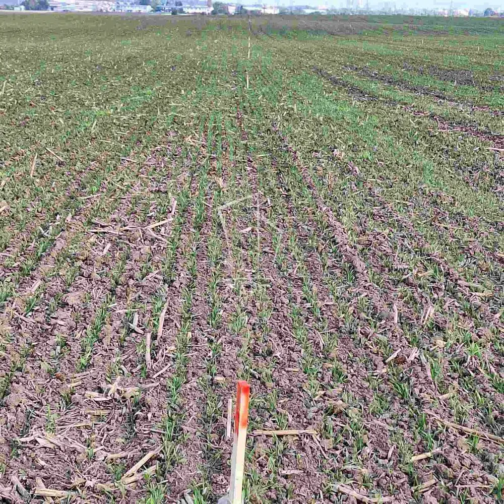 Beograd Surčin plac 1600000 evra 