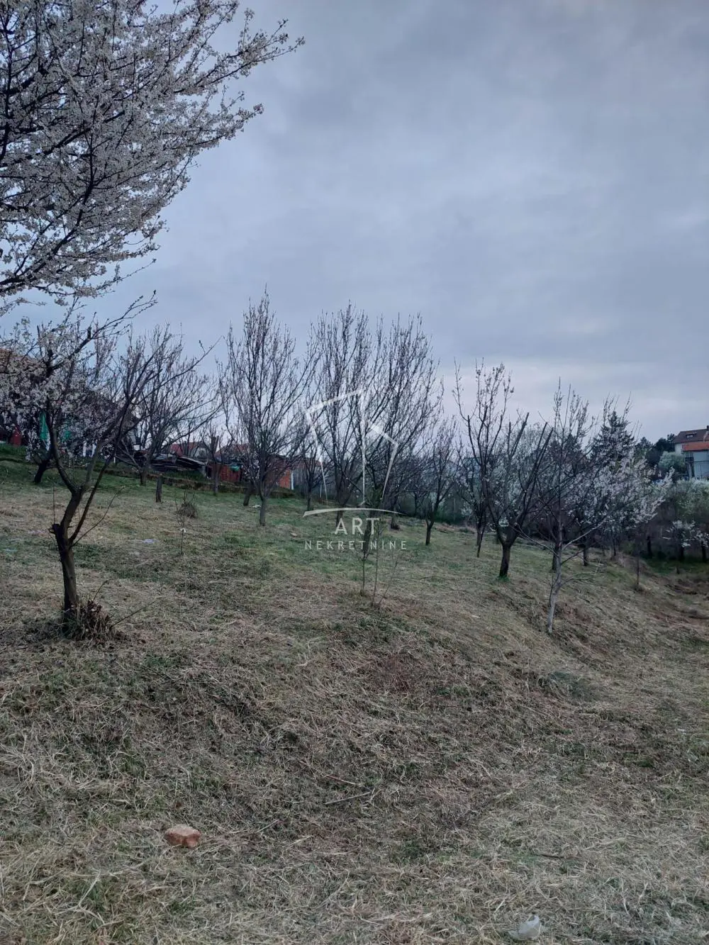 plac Voždovac Zuce 90000 evra 